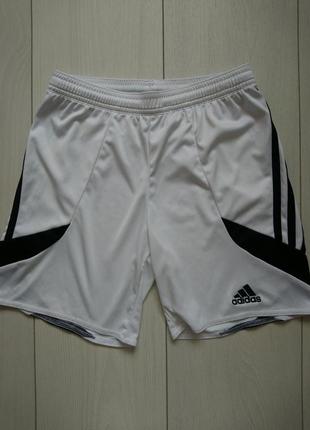 Спортивні шорти adidas1 фото