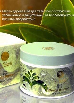 Доктор нона dr.nona  масло ши