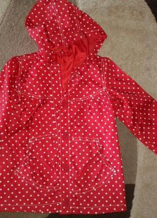 Дощовик на підкладці