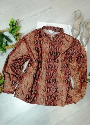 Блуза сорочка зміїний принт блузка з твариною принтом змія пітон оверсайз3 фото