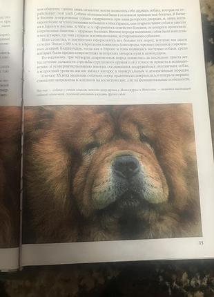 Книга 2