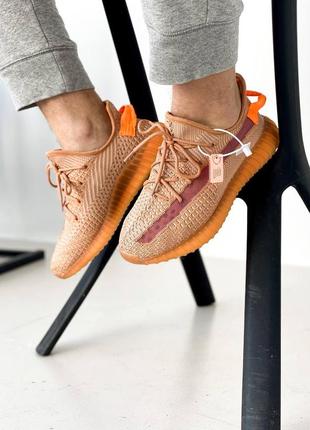 Кросівки жіночі adidas адідас