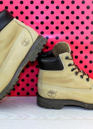 Черевики timberland5 фото