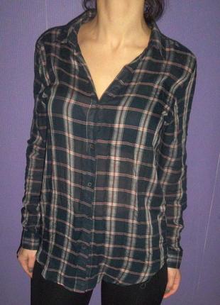 Фірмова сорочка colins