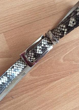 Ремень кожа питона
