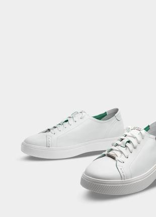 Чоловічі кеди davis