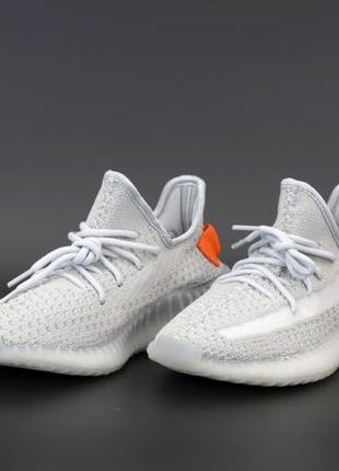 Чоловічі кросівки adidas yeezy 350 v2 tail light3 фото