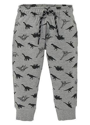 Серые теплые штаны с динозаврами на мальчика р. 98-104, lupilu