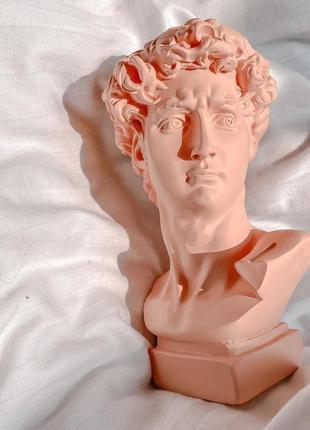 Гипсовый бюст давида (разные цвета)