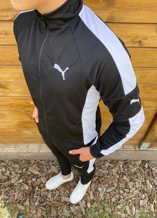 Чоловічий спортивний костюм