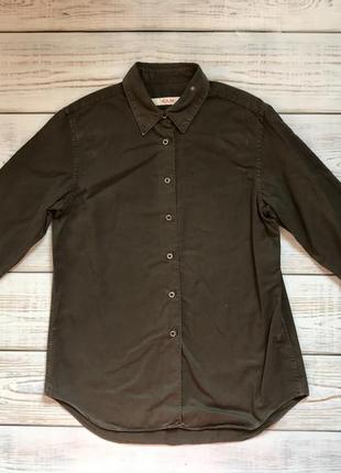 Стильна сорочка хакі бавовна коттон