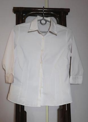 Модная рубашка