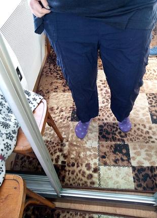 Штани-бріджі