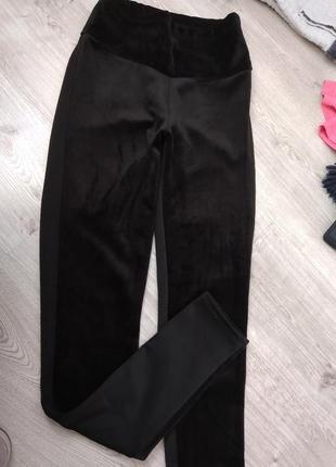 Штани, лосіни