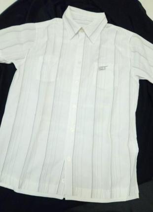 Белая рубашка для школы с коротким рукавом c&a dr2 фото