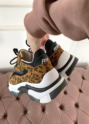 Ash leopard 🔥 стильные женские кроссовки 👟36-40 р3 фото