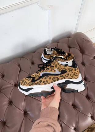 Ash leopard 🔥 стильные женские кроссовки 👟36-40 р8 фото