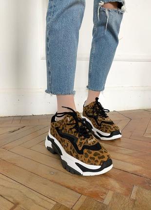 Ash leopard 🔥 стильные женские кроссовки 👟36-40 р10 фото