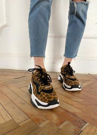 Ash leopard 🔥 стильные женские кроссовки 👟36-40 р4 фото