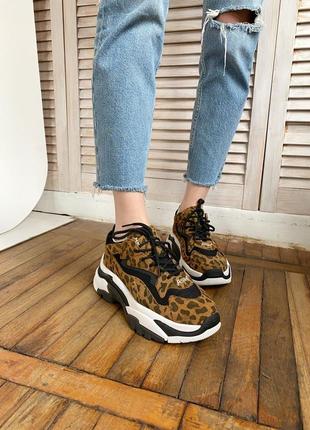 Ash leopard 🔥 стильные женские кроссовки 👟36-40 р5 фото