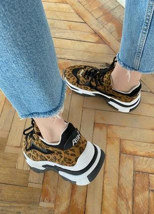 Ash leopard 🔥 стильные женские кроссовки 👟36-40 р2 фото