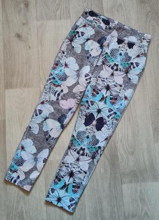 Лосини next на 7 років