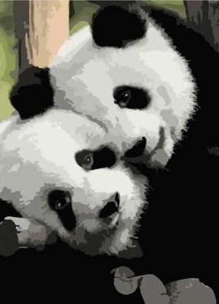 Картина по номерам панды инь янь арт