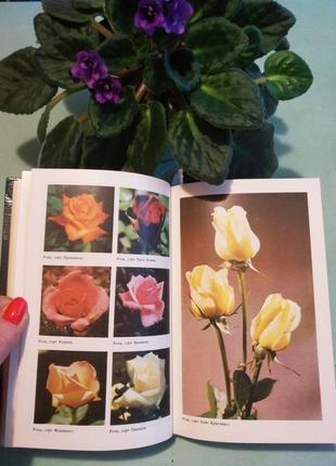 Книга "овочівництво і квітникарство захищеного грунту для любителів",19909 фото