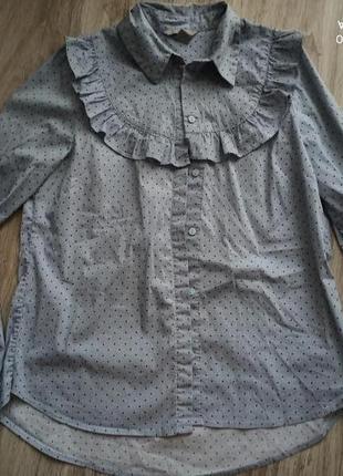 Блуза рубашечка h&m h&m в горошок1 фото