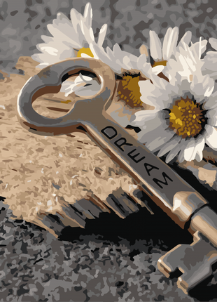 Картина по номерам открой мечту арт