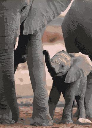Картина по номерам будущий гигант слон арт