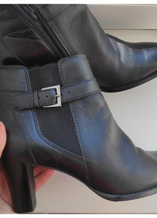 Ботинки ботильоны сапожки на каблуке✨ caravella ✨ кожа