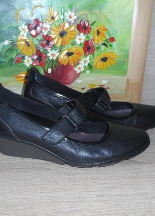 Шкіряні туфлі clarks