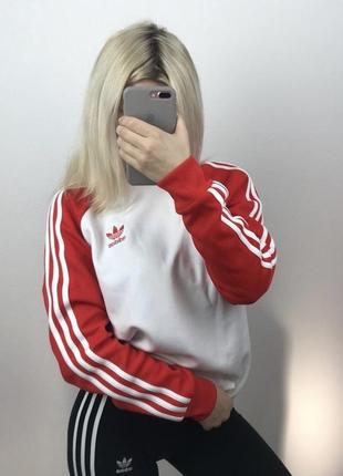 Свитшот adidas оригинал