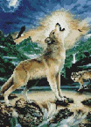 Алмазна мозаїка вовк при місяці