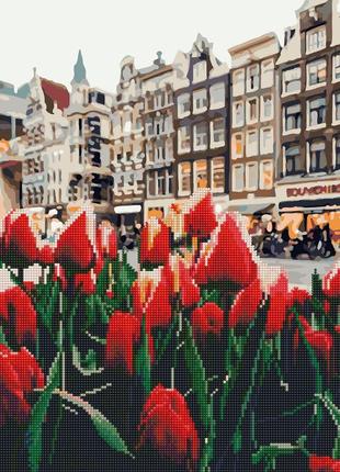 Алмазная мозаика тюльпаны в амстердаме раскраска картина