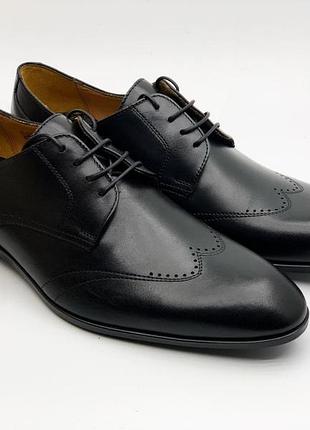 Розкішні оксфорди fabio conti