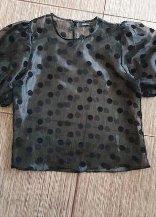 Шикарна блуза, блузка, топ з органзи в горошок з обьемными рукавами-ліхтариками boohoo4 фото