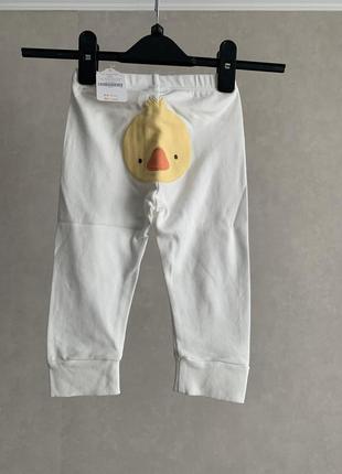 Штани жіночі