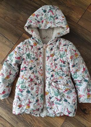 Куртка демисезонная