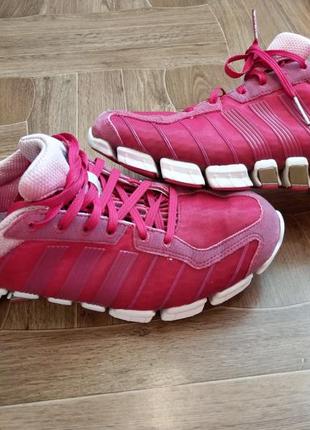 Кроссовки adidas climacool pink1 фото