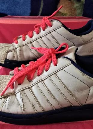 Кросівки-кеди "adidas" 2