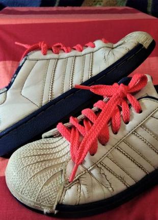 Кросівки-кеди "adidas" 3