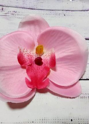 Головы орхидеи. 5 видов