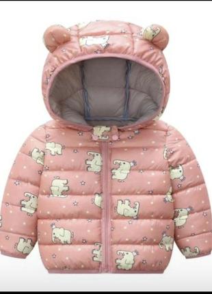 Куртка вушка на дівчинку,демі