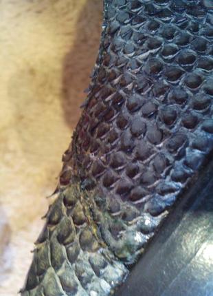 Туфлі зі зміїної шкіри бренд jaime mascaro (іспанія)8 фото