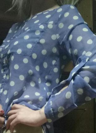 Блуза, сорочка amiisu,в горошок5 фото