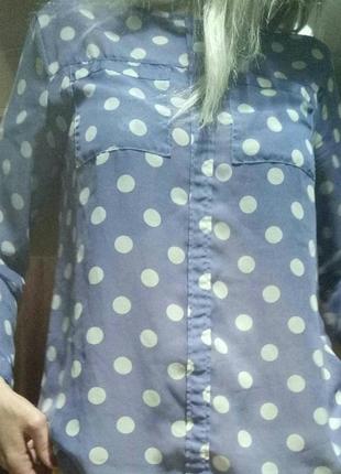 Блуза, сорочка amiisu,в горошок2 фото
