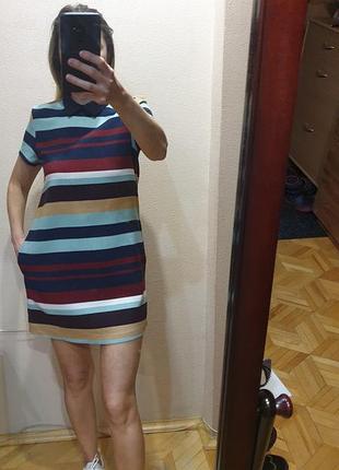 Плаття в смужку zara, Красиве h&m, mango, massimo dutti, bershka3 фото