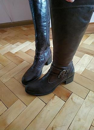 Чоботи демісезон